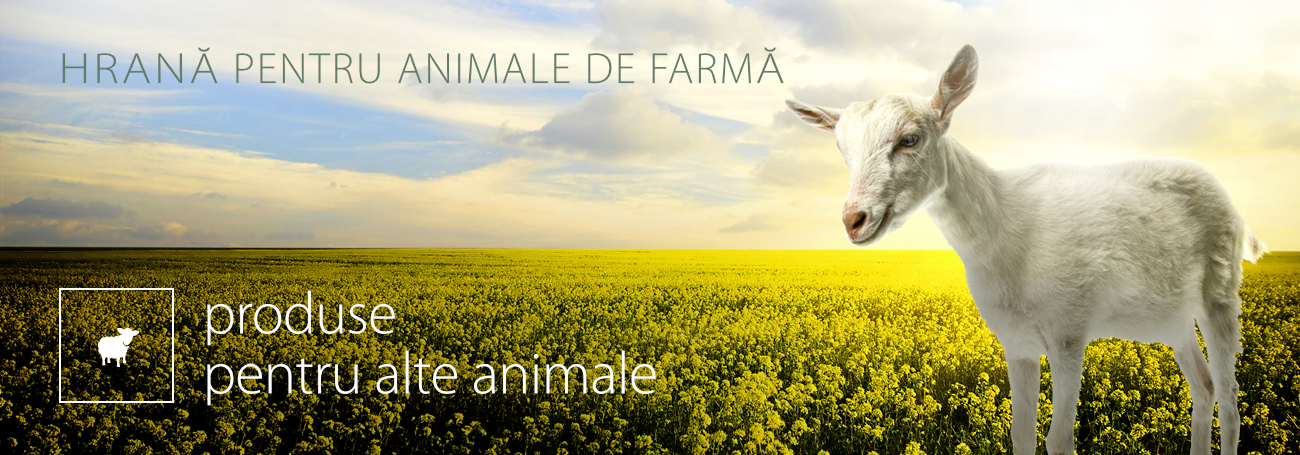 produse pentru alte animale