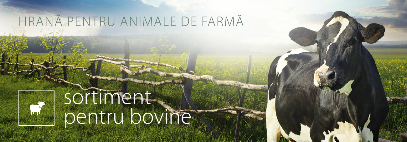 sortiment pentru bovine